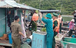 Bão số 2: Thái Bình cấm biển từ 15h; Quảng Ninh hỗ trợ tàu thuyền về trú ẩn