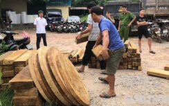 Yên Bái: Bị phạt gần trăm triệu vì tàng trữ gỗ gom của lâm tặc
