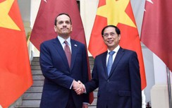 Việt Nam là điểm đến hấp dẫn của các nhà đầu tư Qatar