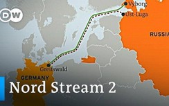 Phó Chủ tịch Quốc hội Đức: Không có lý gì để dừng Nord Stream 2