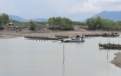 Hai dự án cảng container ở Bà Rịa - Vũng Tàu ì ạch, hết hạn đầu tư