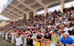 Hàng vạn người chen chân xem lễ hội chọi trâu Đồ Sơn