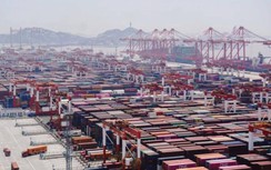 Giá cước vận tải biển Trung Quốc lao dốc