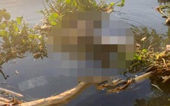 Gia Lai: Phát hiện thi thể đàn ông không áo quần đang phân huỷ dưới suối