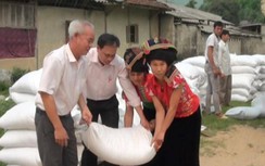 Thanh Hóa: Cựu trưởng thôn "biển thủ" 5 tấn gạo của dân