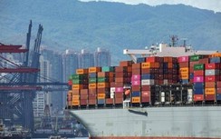 Giá thuê tàu container giảm mạnh sau khi đạt đỉnh vào tháng 4/2022