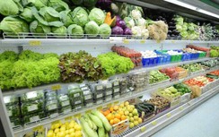Vụ "rau VietGAP rởm" vào siêu thị: Cơ quan quản lý nói gì?