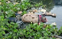 Hoảng hốt phát hiện thi thể nam giới trôi trên kênh ở Bạc Liêu