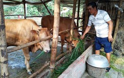 Giao thông tạo đòn bẩy giúp vùng đồng bào Khmer phát triển