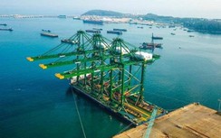 Cân nhắc bổ sung khu bến cảng Triệu Lăng vào quy hoạch cảng biển