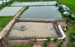 Thái Bình: Xác minh, làm rõ vụ hàng vạn khối đất trồng lúa bị đào bán