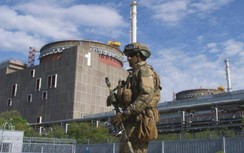 Ukraine đang tập hợp lực lượng giành lại nhà máy điện hạt nhân Zaporizhzhia