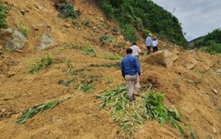 Quảng Nam: Sạt lở đường huyện, 170 hộ dân bị cô lập