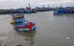 Bão số 6 cận kề, gần 3.500 ngư dân Quảng Ngãi vẫn lênh đênh trên biển