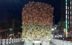 Video: Xe chở gỗ cao ngất ngưởng trên quốc lộ 19 qua Gia Lai