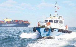 Công ty Hoa tiêu Tân cảng vững vàng vươn lên vị trí dẫn đầu