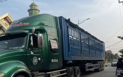 Quảng Ninh: Liên tiếp sự cố xe tải kéo đổ cột điện vì vướng dây chùng