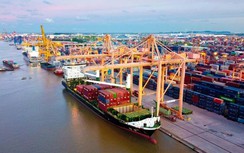 Phó Thủ tướng yêu cầu sớm điều chỉnh phí hạ tầng cảng biển Hải Phòng