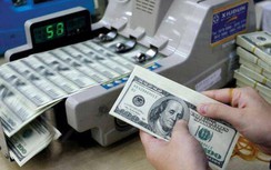 Tỷ giá USD hôm nay 9/11: Không giữ được đà tăng