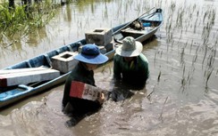 Đi thuyền, lội nước cắm mốc GPMB cao tốc Châu Đốc - Cần Thơ - Sóc Trăng