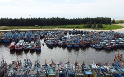 Hàng trăm tàu cá tại Bà Rịa - Vũng Tàu nằm bờ do giá dầu tăng