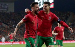 Mèo tiên tri dự đoán kết quả trận Bồ Đào Nha vs Ghana: Chọn Ronaldo