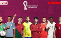 Trực tiếp World Cup 2022, VTV3 trực tiếp bóng đá hôm nay 24/11