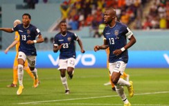 Mèo tiên tri dự đoán kết quả Ecuador vs Senegal: Khó có bất ngờ