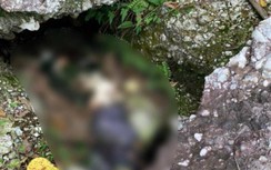 Quảng Ninh: Đi tìm ong, nhóm người dân tá hỏa phát hiện thi thể đã phân hủy