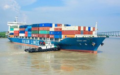 Doanh nghiệp lãi lớn dù cước vận tải container giảm sốc