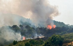 Lửa bùng cháy dữ dội, thiêu rụi nhiều diện tích rừng ở TP Móng Cái