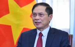 Đề nghị kỷ luật Bộ trưởng Ngoại giao Bùi Thanh Sơn
