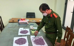 Hàng nghìn viên thuốc lắc "nấp" thùng trái cây đi xe khách Hà Nội-Đà Nẵng