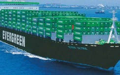 Đài Loan: Hãng vận tải biển phá kỷ lục về tiền thưởng tết