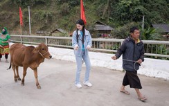 Lộ ảnh á hậu Phương Nhi đi chăn bò ở quê nhà, sự thật là gì?