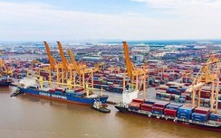 Cảng biển rục rịch tăng giá xếp dỡ container