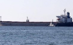 Tàu chở hàng từ Ukraine đến Trung Quốc bị mắc cạn ở kênh đào Suez
