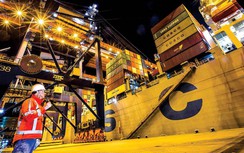 Việt Nam có thể học gì từ cảng container lớn nhất châu Âu?