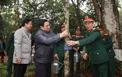 Thủ tướng kêu gọi nhân dân hăng hái tham gia trồng cây
