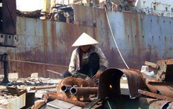 Khó nhập khẩu tàu biển cũ dù lợi nhuận kếch xù