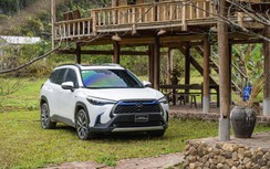Vì sao xe hybrid của Toyota đạt doanh số ấn tượng?