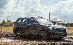 Subaru Forester 2023 về Việt Nam được trang bị công nghệ quan sát mới