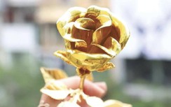 Hoa hồng mạ vàng hút khách dịp Valentine 14/2, vì sao?