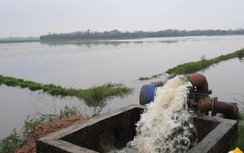 Huy động hàng chục máy bơm cứu hơn 2.000 ha lúa bị ngập úng ở Quảng Trị