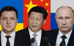 Nga, Ukraine nói gì về bản kế hoạch hoà bình 12 điểm của Trung Quốc?