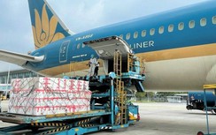 Vận tải hàng hóa hàng không tăng mạnh nhất trong tháng 2/2023