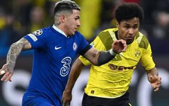 Nhận định, dự đoán kết quả Chelsea vs Dortmund, vòng 1/8 Cúp C1 châu Âu