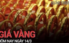 Giá vàng hôm nay 14/3: Vàng trong nước tiếp đà tăng