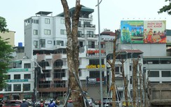 Hà Nội: Hàng cây xanh có dấu hiệu chết khô trên tuyến đường mới mở
