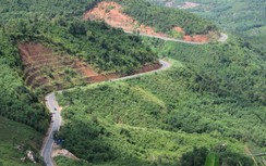 Hạn chế chuyển đổi đất rừng trong dự án đường liên vùng nối với Khánh Hòa